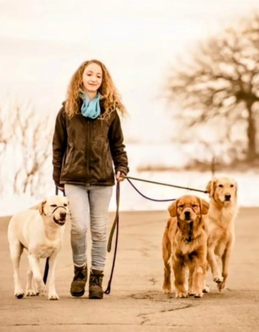 Cassie, Trainer at Ruffin' It Resort, walking three dogs